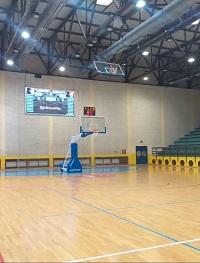 Sportska dvorana Borovo Naselje, Hrvatska